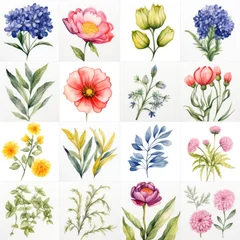 Fototapeten Watercolor Botanicals, Seamless Patterns and Textures © Vladyslav  Andrukhiv