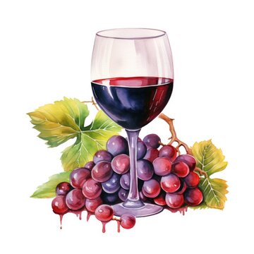Watercolor illustration glass of red wine, grapes, leaves isolated on white background