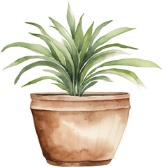 Watercolor PNG Illustration of a Plant in a Pot