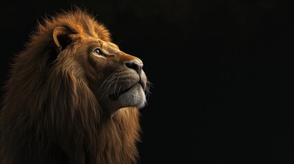  a close up of a lion's face on a black background with a light shining on the lion's head.