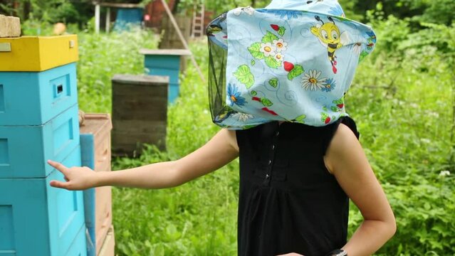 Girl in hat with net gingerly touch beehive in Izmailovo Apiary. 