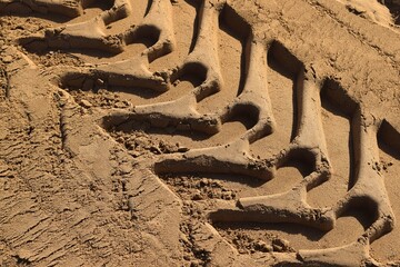 Wheel tracks in the wet sand close up. wheel tread mark on a dirt road. Tire prints on a brown...
