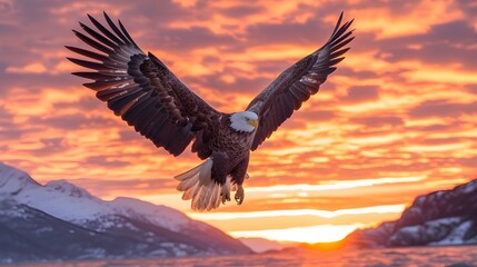 Illustration of iconic american eagle flying, vibrant sunset at background, celebration of spirit of freedom and independence. Patriotic USA memorial day, fourth of July holiday concept.