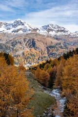Fototapeta na wymiar The scenic Swiss Julier Pass in autumn