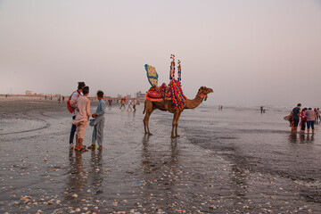 Local people with camel and tourists in Clifton beach in Karachi, Pakistan. The costline of Arabian sea. 