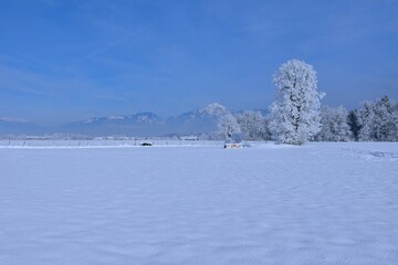 Sorško polje field covered in snow and Storžič mountain in Gorenjska, Slovenia