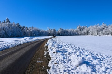 Paved road leading across a snow covered field and snow covered trees in a forest at Sorško Polje, Gorenjska, Slovenia