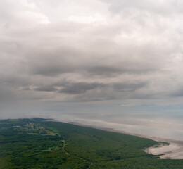 Fototapeta na wymiar Aerial view of Panama City area Forest and Beach