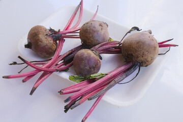 Colorful Harvest, Carrots and Beets