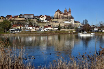 Fototapeta na wymiar Blick von der Ile-de-France auf Breisach am Rhein