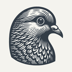 Pigeon Head. Vintage woodcut engraving style vector illustration.