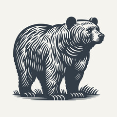 Bear. Vintage woodcut engraving style vector illustration.