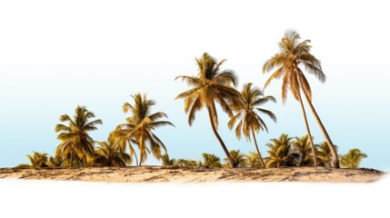 A group of palm trees standing tall on a beautiful sandy beach. Perfect for tropical vacation or beach-themed designs