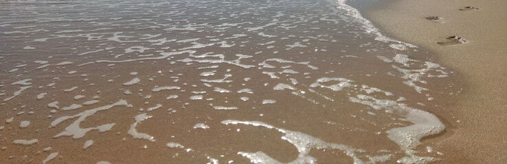 the beach on Fuerteventura, Canary Islands