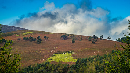 A sunny day in Glendalough