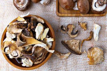 dried different organic mushrooms. view from above. Autumn food.