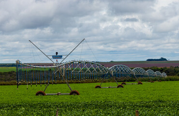 Fototapeta na wymiar irrigation system in the field