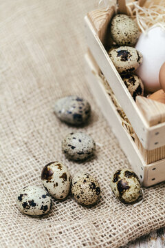 Rustic arrangement of quail eggs in a wooden crate