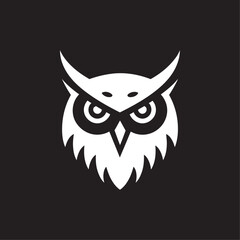 owl on black background