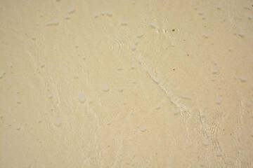 Clean and clear light blue water of Caribbean sea.	