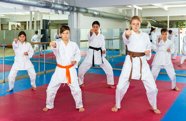 Schoolchilds are practicing new technique by repeating for the female trainer in karate class