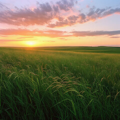 Infinite Prairie Grasses Swaying in Tones of Green