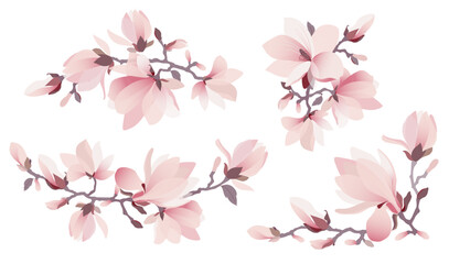 Pink magnolia flowers set. Collection of magnolia tree blossom branches. 