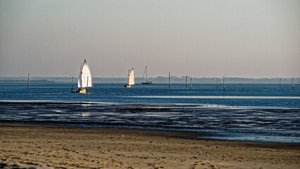 Bassin d'Arcachon