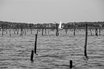 Bassin d'Arcachon