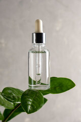 Transparent dropper bottle with serum lotion or essential oil with leafs. Skin care cosmetics concept.