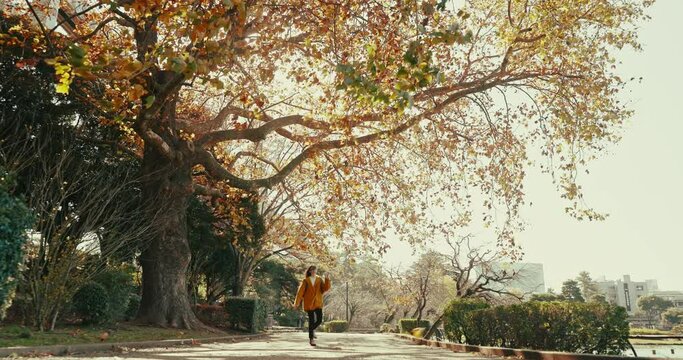 Woman, dance and walk on path, park or nature by trees, celebrate or backpack on holiday travel. Girl, person and dancer for freedom, vacation or sidewalk in environment for autumn sunshine in Tokyo