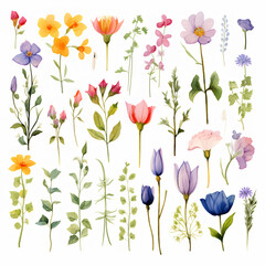 set of flowers