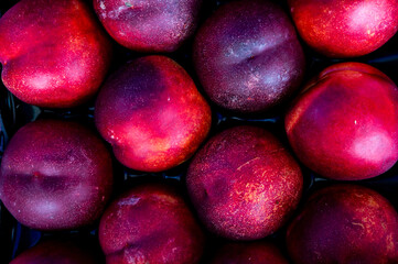 Background of bright and ripe nectarines in full screen. Summer wallpaper of exotic southern fruits. The concept of harvesting.