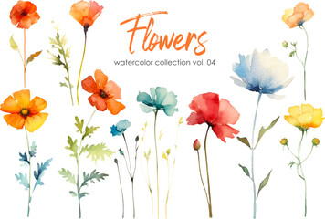 Watercolor flowers collection. Hand drawn floral vector elements isolated on white background.Botanic Wedding floral design.