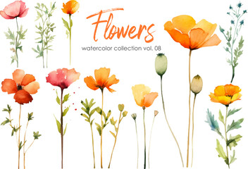 Watercolor flowers collection. Hand drawn floral vector elements isolated on white background.Botanic Wedding floral design.