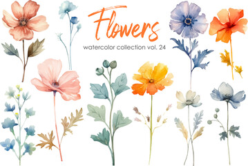 Watercolor flowers collection. Hand drawn floral vector elements isolated on white background.Botanic Wedding floral design.