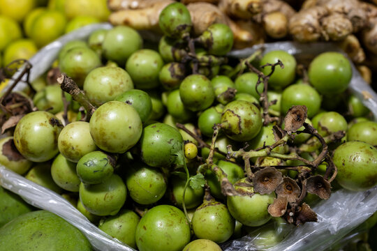 Indian fruit Green Fragrant manjack or snotty gobbles