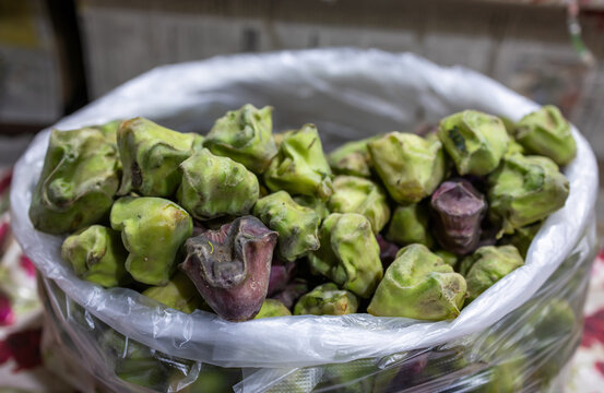 fresh water chestnut fruit at fruit store for sale at evening