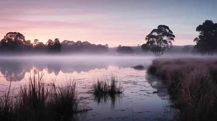 Foto op Plexiglas A landscape of wetlands covered by fog. © kept