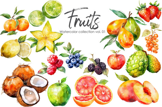 Watercolor fruits collection. Hand drawn vector fresh food elements isolated on white background