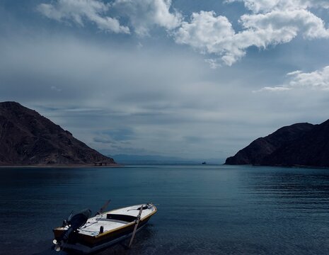 I captured this photo in Sinai Taba, Egypt. I was in a nature reserve. 