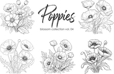 Poppies line art vector illustration set isolated on white. Flower black ink sketch. Modern minimalist hand drawn design.