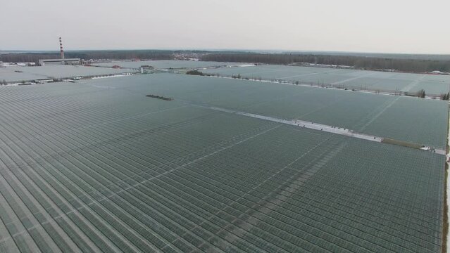 Large area of glassroof gardens greenhouses at winter day. Aerial view