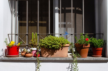 Window exterior with potted plants and colorful flowers. Detail of house on spring or summer. Gardening at home. Nature background.