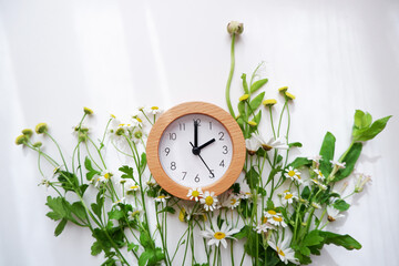 A clock and botanical elements composition on white background. Natural plants and flower...