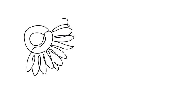 Animated self drawing of continuous line draw minimalist beauty sunflower. Floral concept for posters, wall art, tote bag, mobile case, t-shirt print. Full length one line animation illustration.
