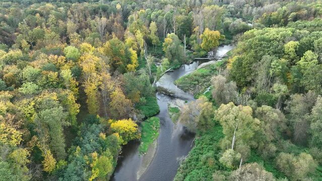 River delta floodplain autumn fall color meander drone aerial inland video shot in sandy sand alluvium, benches forest and lowlands wetland swamp, quadcopter view flying fly flight show