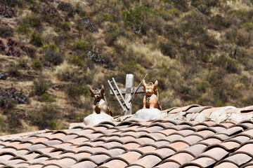 Two Bulls And Cross Ornament On Roof Peru South America