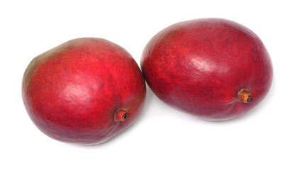 Two mango fruit isolated on white background