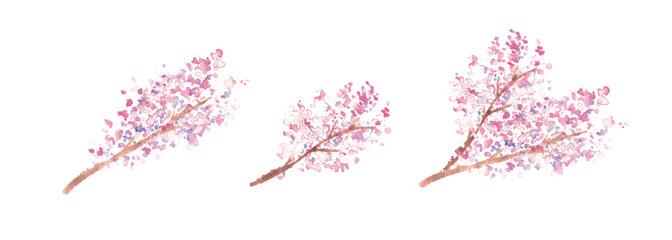 水彩画。水彩タッチの春の桜ベクターイラスト。Watercolor painting. Spring cherry blossom vector illustration with watercolor touch. Cherry blossoms with petals in full bloom. Japanese style cherry blossom illustration.